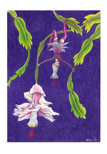 Load image into Gallery viewer, "Succulent Flowers" (Limited Edition) 6 pack