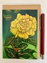 Load image into Gallery viewer, "Sonic Bloom" 6 Pack